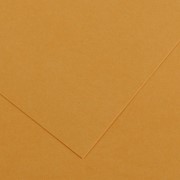 Бумага цветная Canson Iris Vivaldi, 240 гр/м2, 50 x 65 см Оранжевая кожа фото