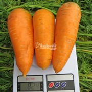 Морков БОЛТЕКС 0,5кг. Clause фото