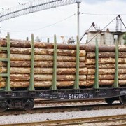 Экспорт леса, древесины фотография