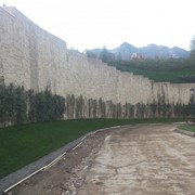 Проектирование, дизайн и изготовление малых архитектурных форм и декораций из бетона фото