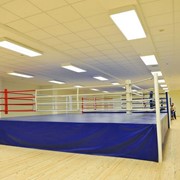 Ринг боксерский на помосте разборный ФСИ помост 7,8х7,8 м, высота 1 м, три лестницы, боевая зона 6,1х6,1 м фотография