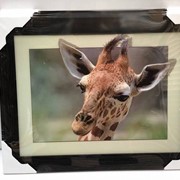 5D картина “Жираф“ 30 х 40 см фото
