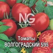 Томат Волгоградский 5/95 (Украина), семена томатов в банках, сорт среднепоздний, урожайный
