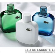 Lacoste фото