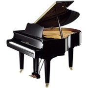 Инструменты клавишные, Рояли акустические, Рояль Yamaha GB1 PE фотография