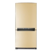 Холодильник Samsung RL-62 ZBVB1 фото