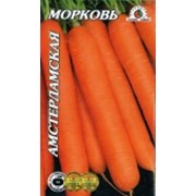 Морковь Амстердамская