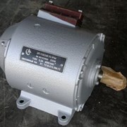 Электродвигатель ЭП-110/125 фотография