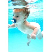 Обучение плаванию младенцев фото