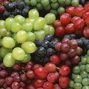 Виноград разных сортов фото