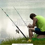 Рыбалка в Венгрии фотография