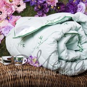 Одеяло Premium collection (172x205 см)Mona фото