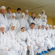 Reproducere, crestere porcilor Moldova фото