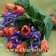 Букет из тюльпанов и ирисов фотография