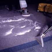 Химическая чистка ковролина фото