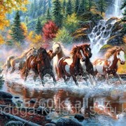 Картина стразами Табун прекрасных лошадей - 40х60см фотография