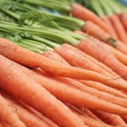 Морковь Длинная красная фото