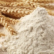 Мука пшеничная- высший сорт, первый сорт, отруби пшеничные.