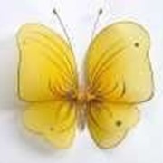 Бабочка декоративная для штор и тюлей большая насыщено-желтая 20*18 см фурнитура для штор фото