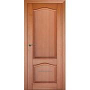 Различная дверь из лучшего дерева (№40) фото