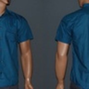 Рубашки мужские FILPUCCI