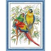 Набор для вышивания “Яркие попугаи“ D213 фото
