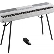 Цифровое фортепиано Korg SP-280 WH фото
