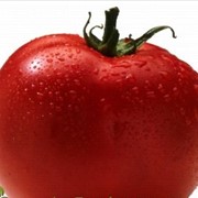 Органические помидоры, Царский садовник, кг фото