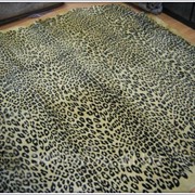 Леопард ковер фотография