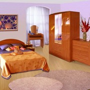 Набор мебели для спальни Соня-7 фотография