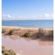 Солёное озеро розового цвета Салинас де Торревьеха фото