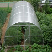 СверхпрочнаяТеплица из сотового поликарбоната 3х8 Доставка по РБ Большой выбор. фото