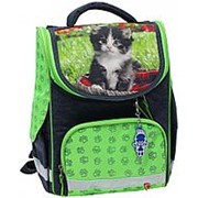 Школьный формованный рюкзак Bagland 'Успех' зеленый кот фото