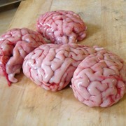 Мозг свиной фотография