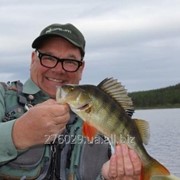 Тур рыбалка на озерах Северо-западной Швеции фотография