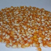 Экструдированная кукуруза купить в Росии от производителя оптом фото