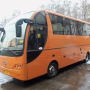 Перевозки автобусные местные в Чернигове от компании Пассавто (passavto), ООО фото