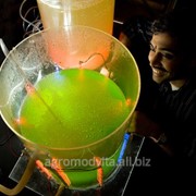 Добавление хлореллы повышает биомассу фото