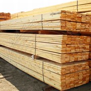 Exports of timber from Ukraine: China, India, Italy, Georgia, Uzbekistan, Turkmenistan, Saudi Arabia, UAE фото