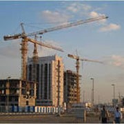 Башенные краны фото