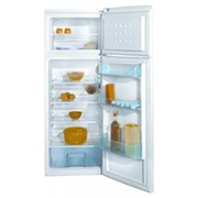 Холодильник Beko DSK 25000 фото