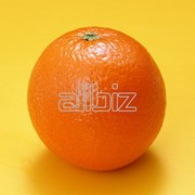 Апельсины фотография