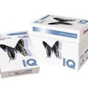 Бумага IQ Premium A4 фото