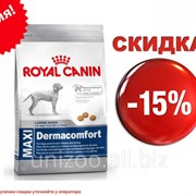 Сухой корм для собак Royal Canin Maxi Dermacomfort 3 кг фотография