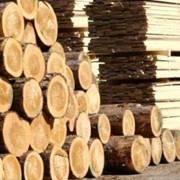 Изделия деревянные промышленного назначения