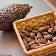 Какао-бобы, Какао-бобы купить, Какао-бобы оптом, Какао-бобы Киев купить