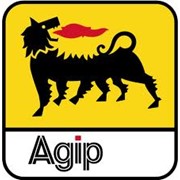 Индустриальные масла Agip фото