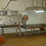 Б/у Автоматическая линия для очистки лука USM -100 от Sormac bv (Голландия)