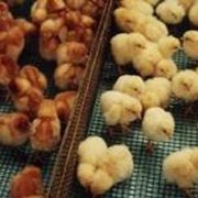 Цыплята Ломан Браун, суточная несушка сортированная фото