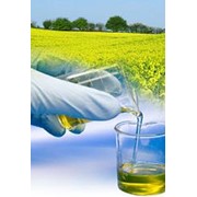 Продаётся цех по производству биодизеля фото